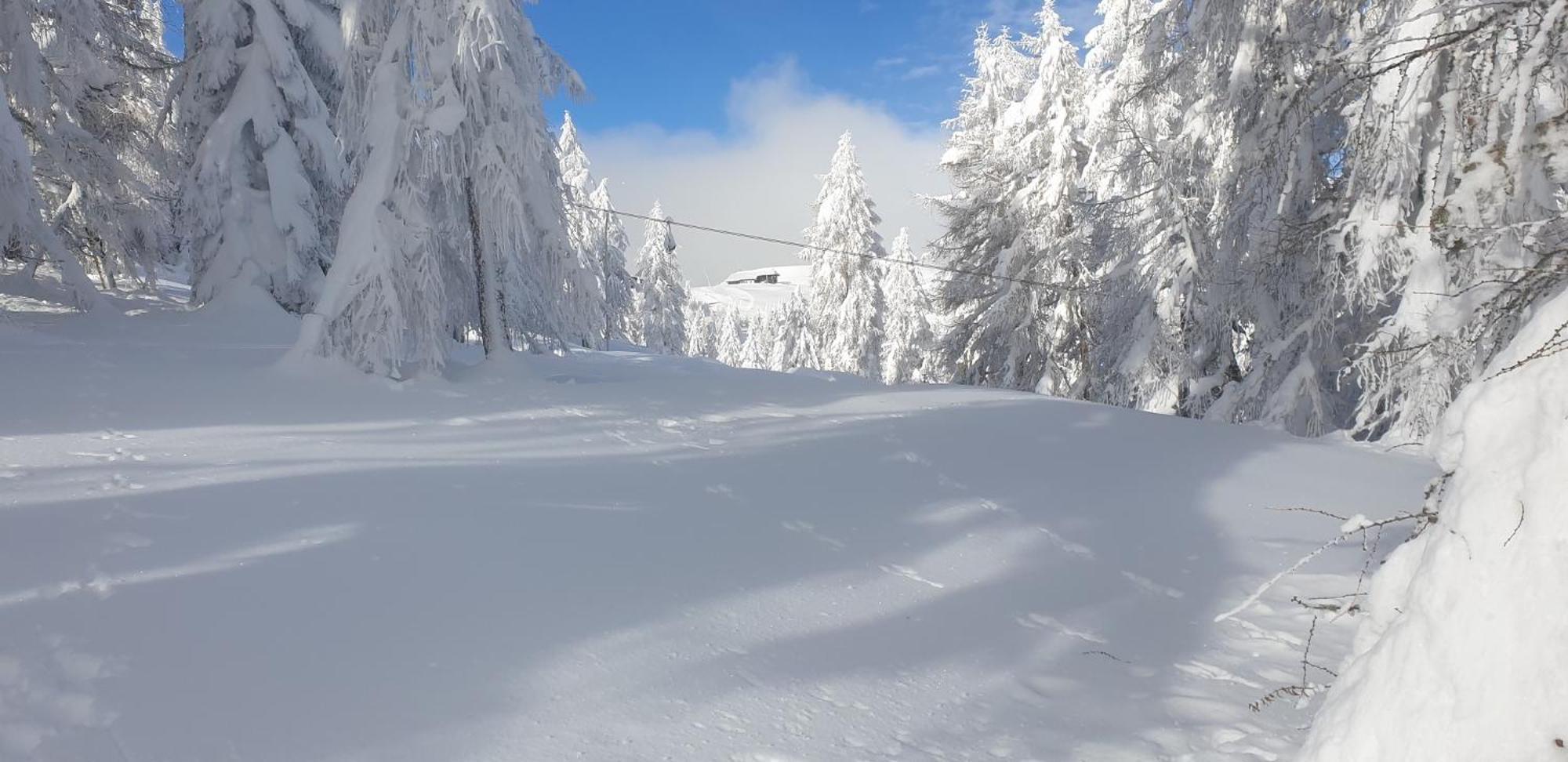 Hotel Sonnenheim Bad Kleinkirchheim Εξωτερικό φωτογραφία
