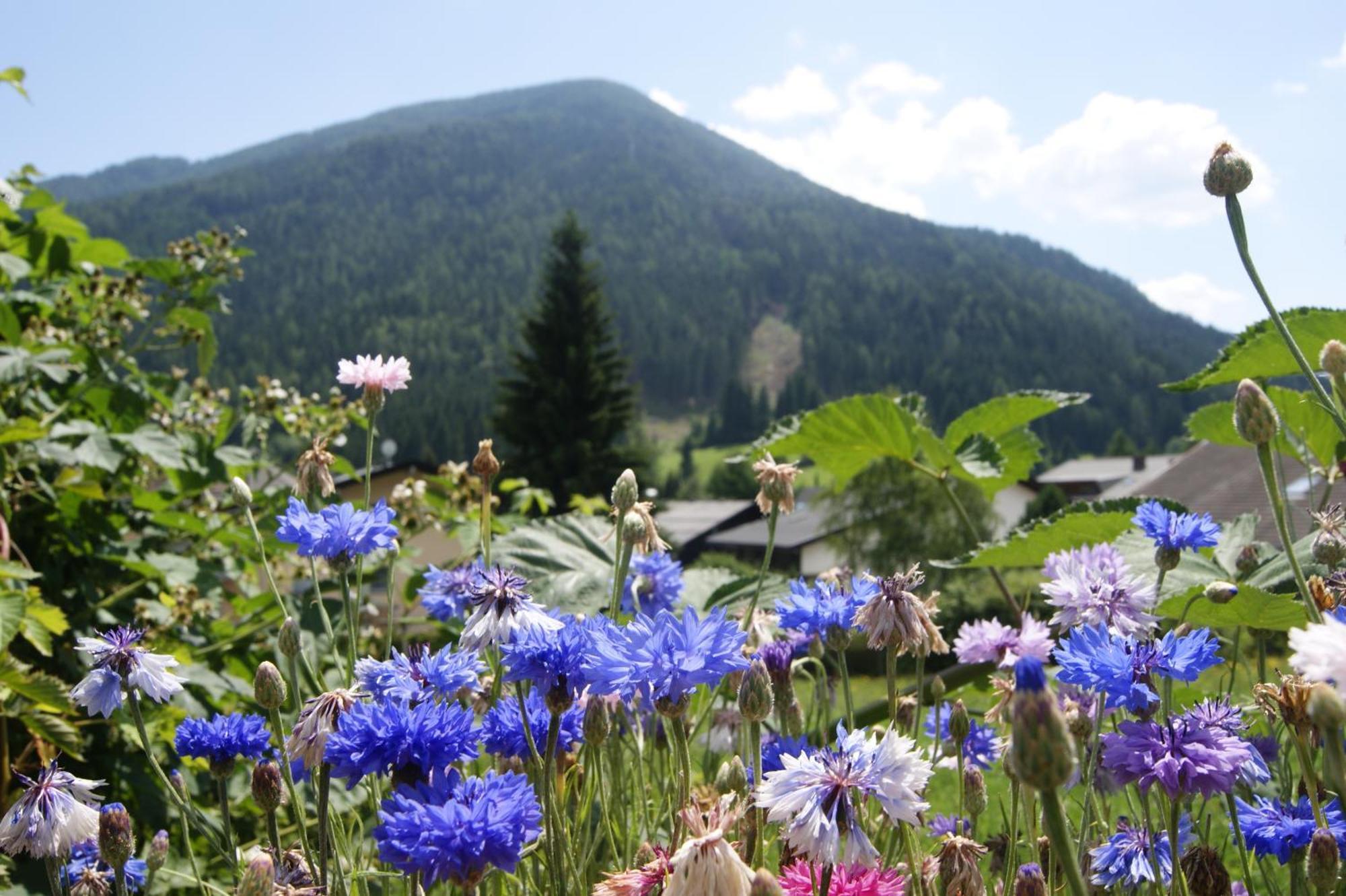 Hotel Sonnenheim Bad Kleinkirchheim Εξωτερικό φωτογραφία